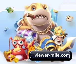 viewer-mile.com的故事 - 体育资讯内容服务